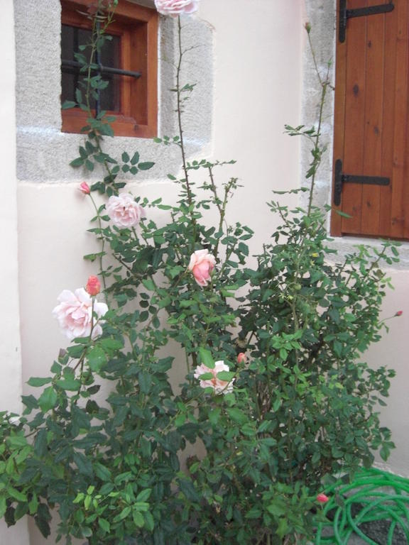 Patriko Traditional Stone Houses Vafes Bagian luar foto